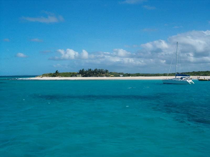 Photo: unknown author, CC BY-SA 3.0, via Wikimedia Commons (https://commons.wikimedia.org/wiki/File:Anguilla_Prickly-Pear.jpg)