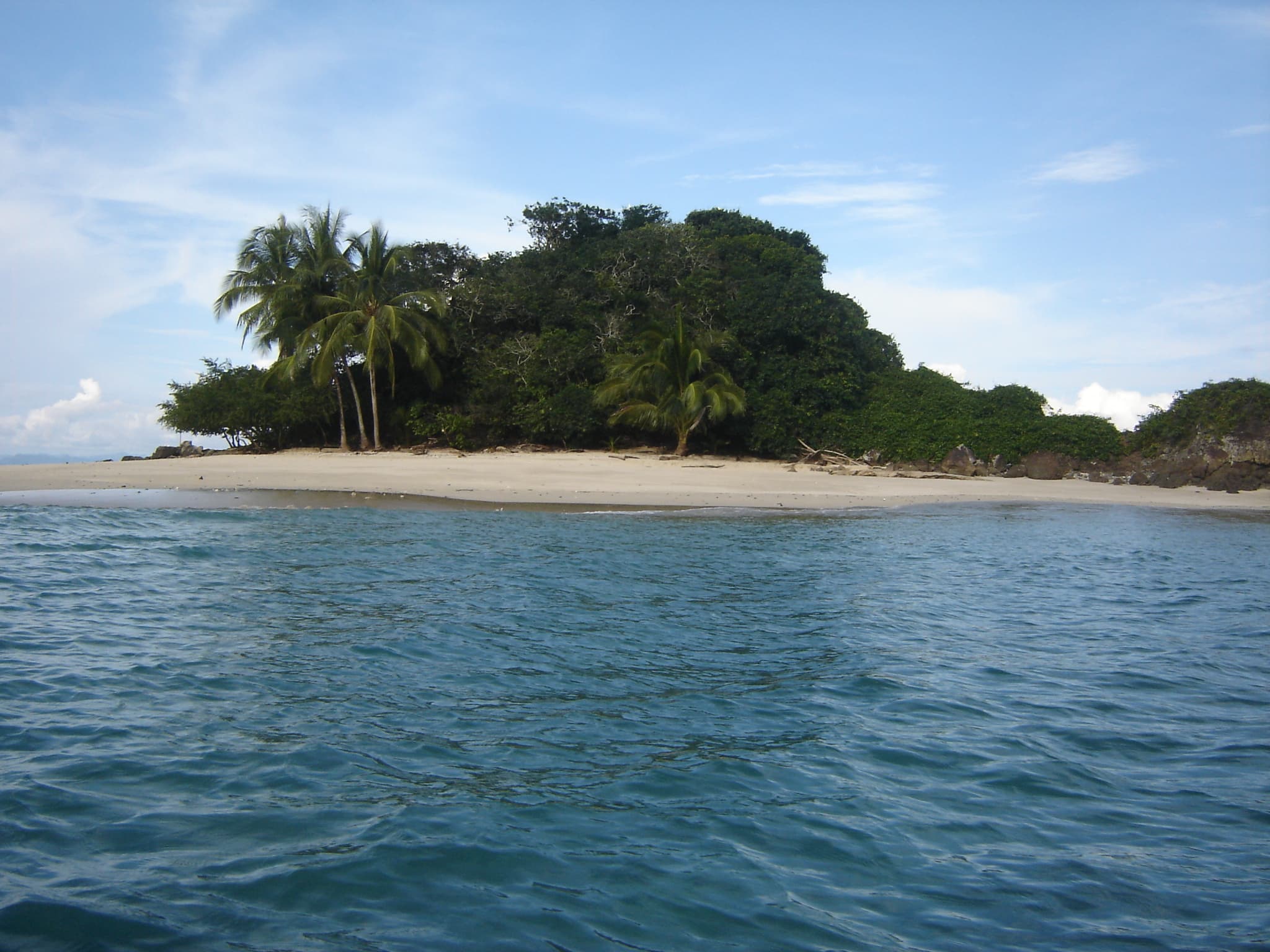 Photo: Seibert, CC BY-SA 4.0, via Wikimedia Commons (https://commons.wikimedia.org/wiki/File:Coiba.JPG)