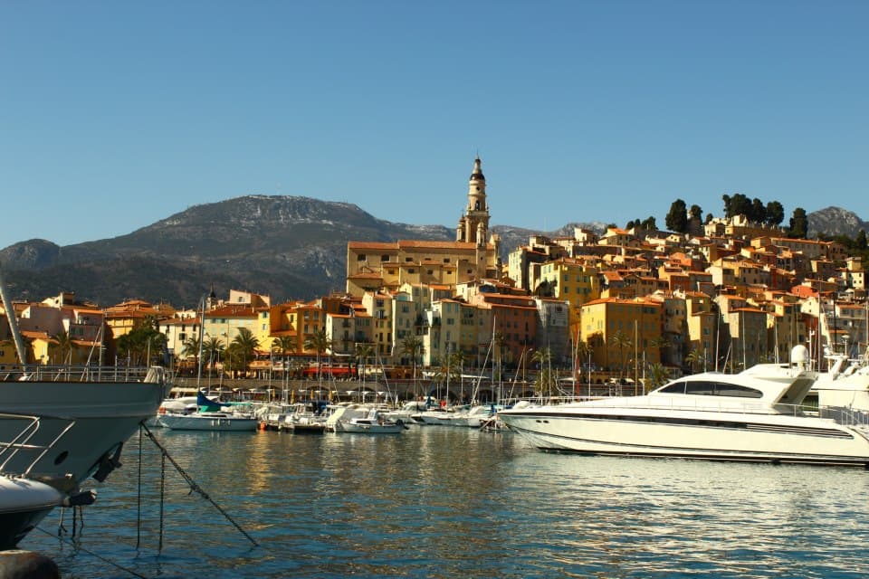 Photo: Le poulpe ambidextre, CC BY-SA 4.0, via Wikimedia Commons (https://commons.wikimedia.org/wiki/File:Menton_february_13.jpg)