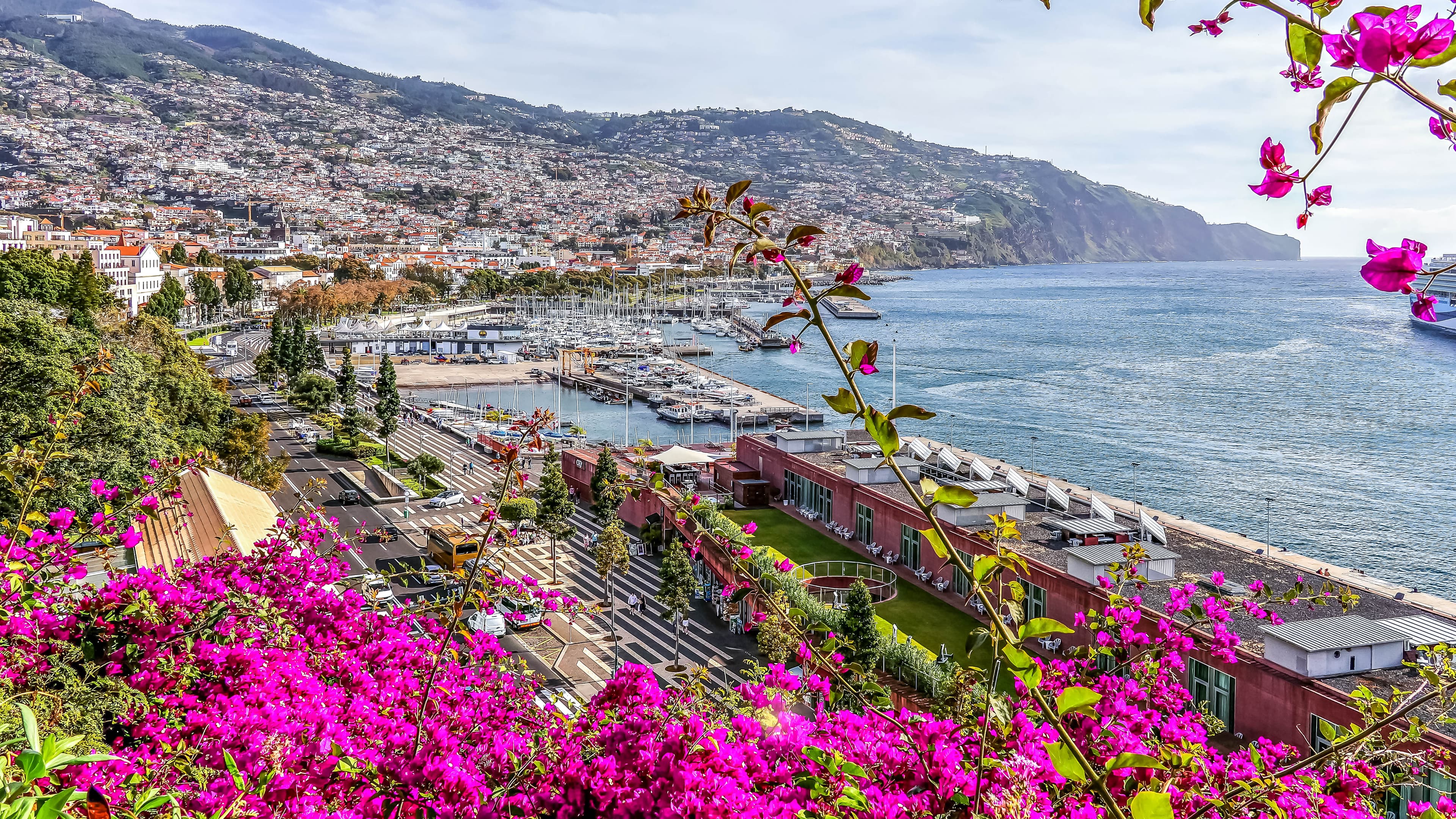 Photo: Dr. Thomas Liptak, CC BY-SA 4.0, via Wikimedia Commons (https://commons.wikimedia.org/wiki/File:Funchal,_Jardins_da_Quinta_Vigia_(lookout).jpg)