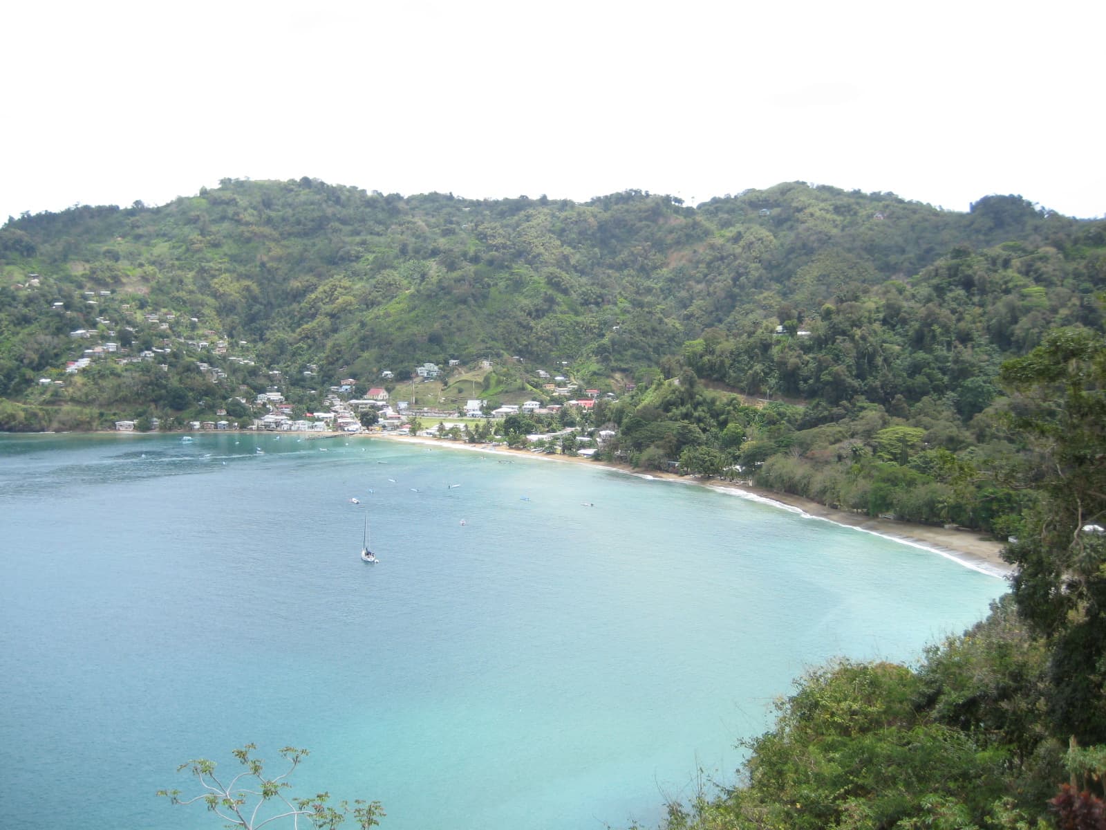 Photo: wikifurn, Public domain, via Wikimedia Commons (https://commons.wikimedia.org/wiki/File:Tobago_WI_Charlotteville.JPG)