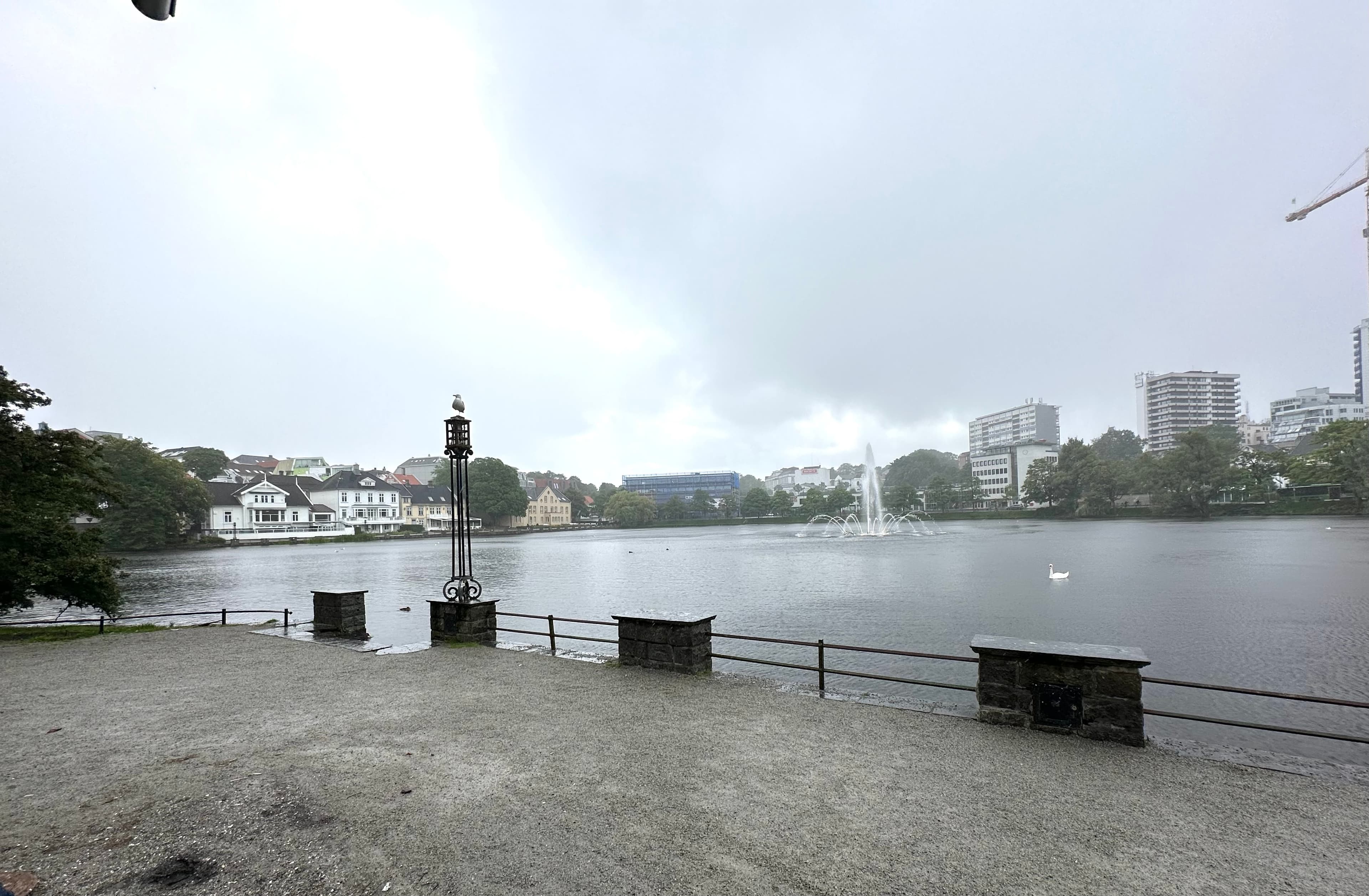 Photo: Olaf2, CC BY-SA 4.0, via Wikimedia Commons (https://commons.wikimedia.org/wiki/File:See_Breiavatnet_in_Stavanger_02.jpg)