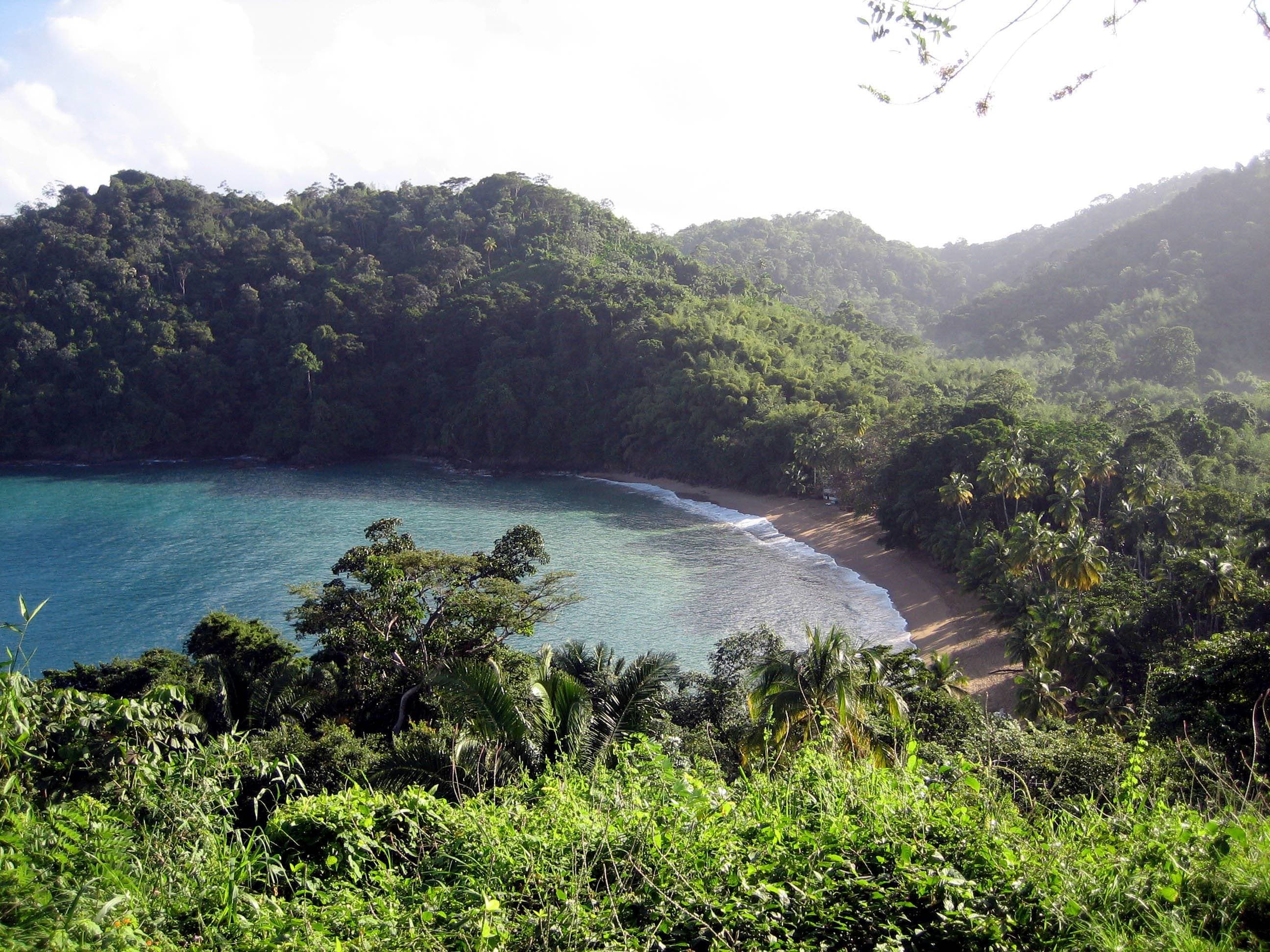 Photo: Dnamolecule, CC BY-SA 3.0, via Wikimedia Commons (https://commons.wikimedia.org/wiki/File:Englishmans_bay_tobago_dec_2008.jpg)