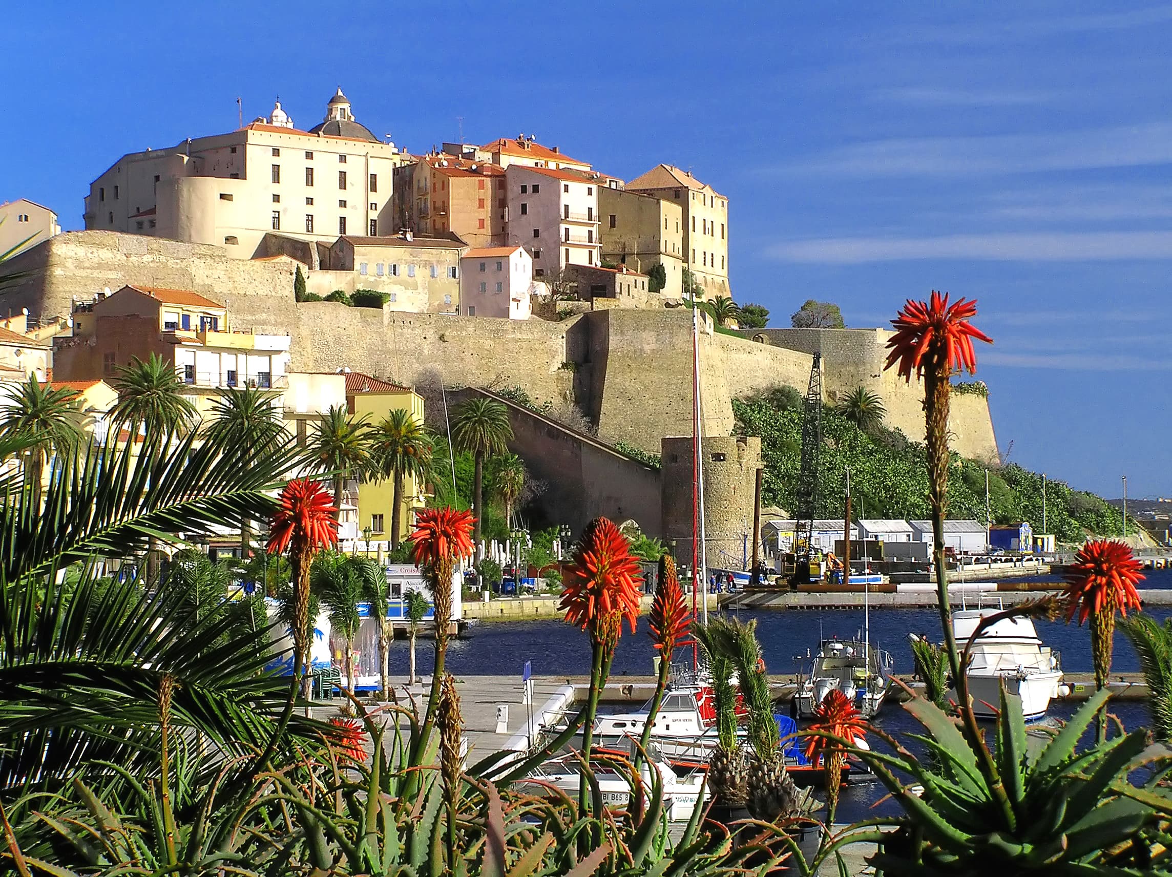 Photo: Pierre Bona, CC BY-SA 3.0, via Wikimedia Commons (https://commons.wikimedia.org/wiki/File:Calvi-Semper_fidelis.jpg)