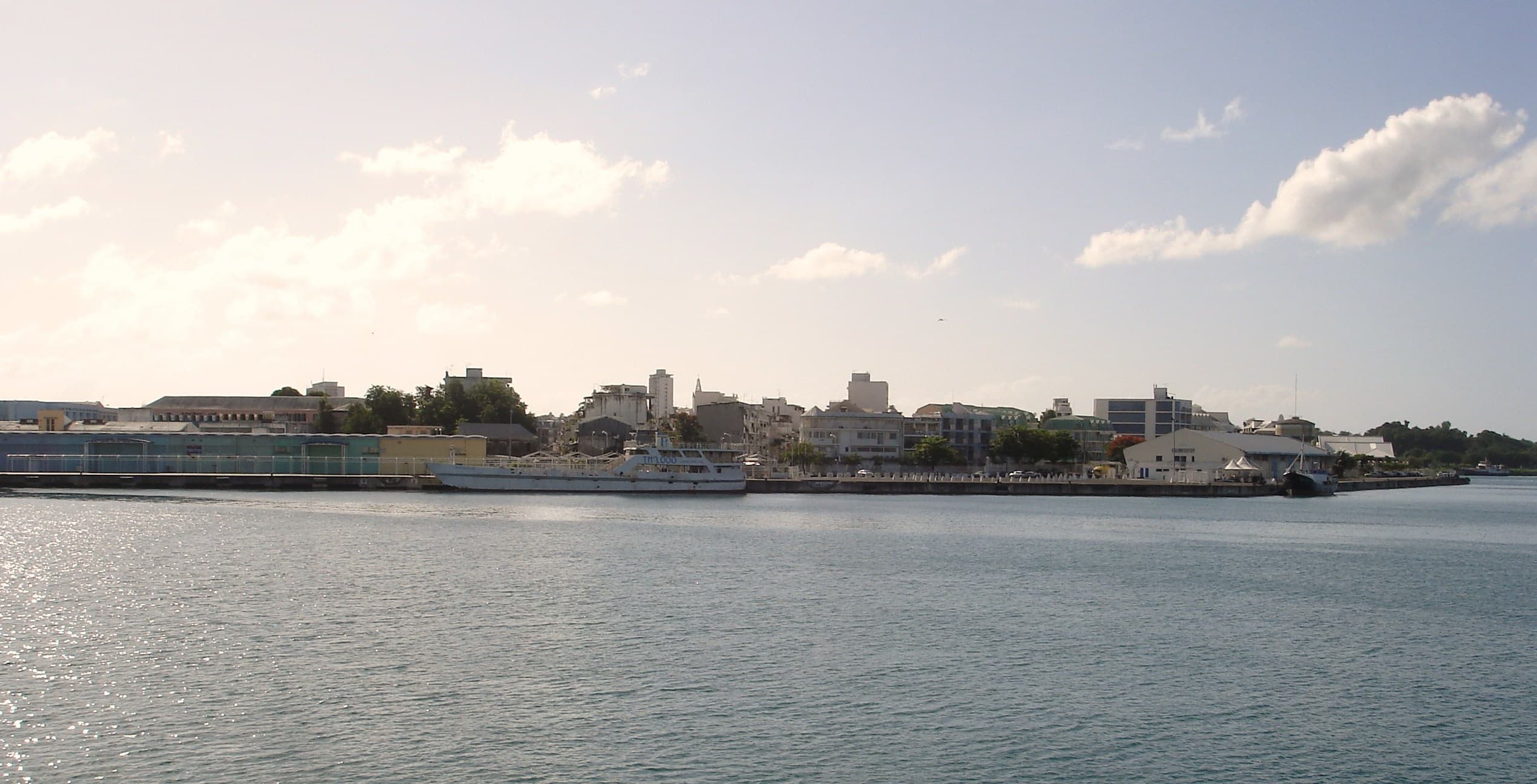 Photo: Zivax, CC BY-SA 3.0, via Wikimedia Commons (https://commons.wikimedia.org/wiki/File:Pointe-%C3%A0-Pitre.JPG)