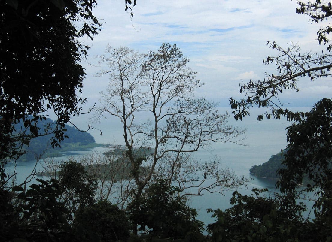Photo: unknown author, CC BY-SA 3.0, via Wikimedia Commons (https://commons.wikimedia.org/wiki/File:DirkvdM_golfito-1.jpg)