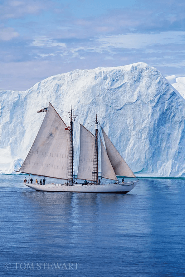 Bowdoin tall ship