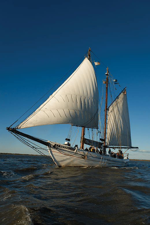 Photo of A.J. Meerwald (1 of 3)